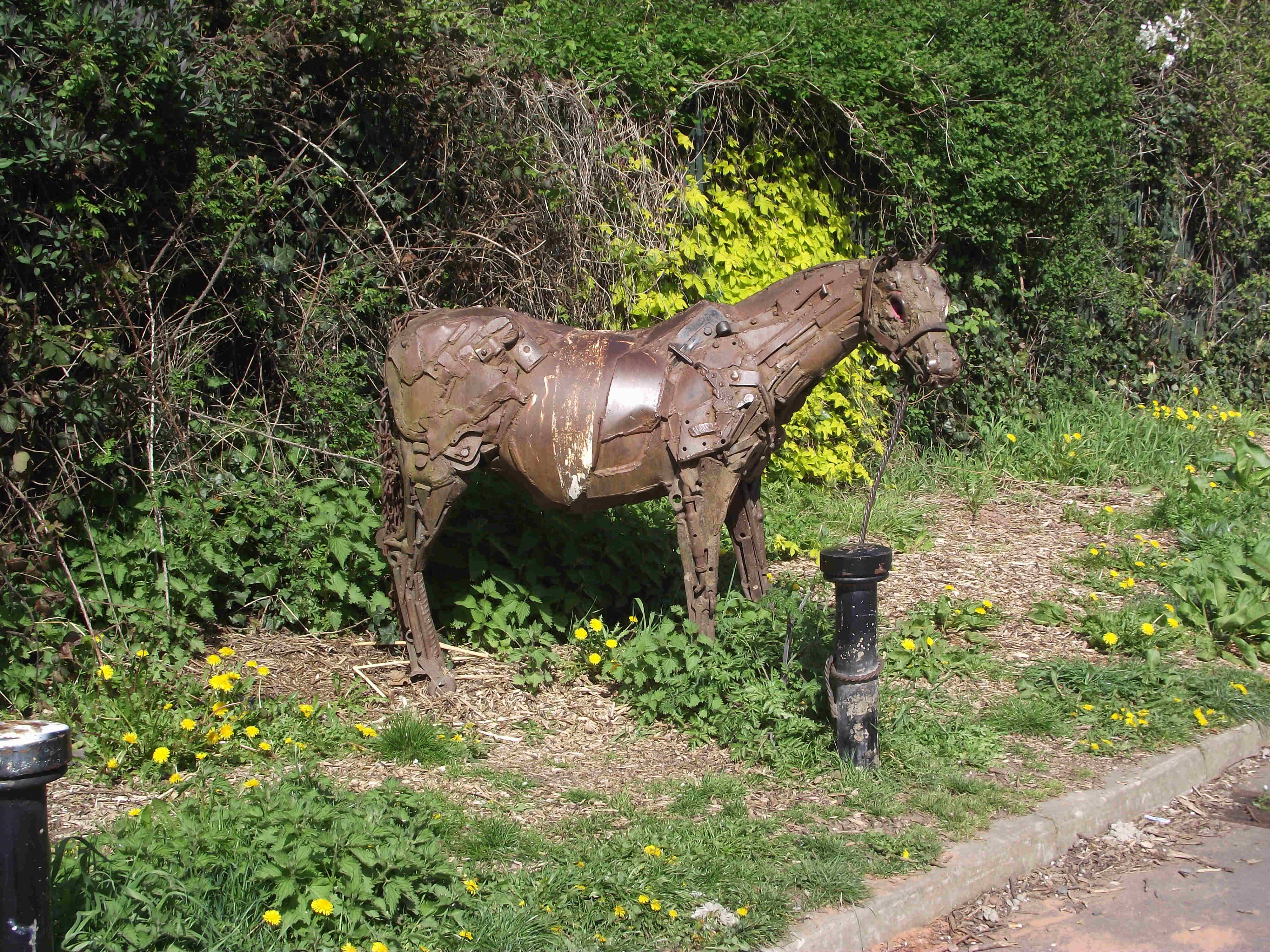 Pony