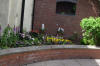 Bilston in Bloom