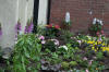 Bilston in Bloom